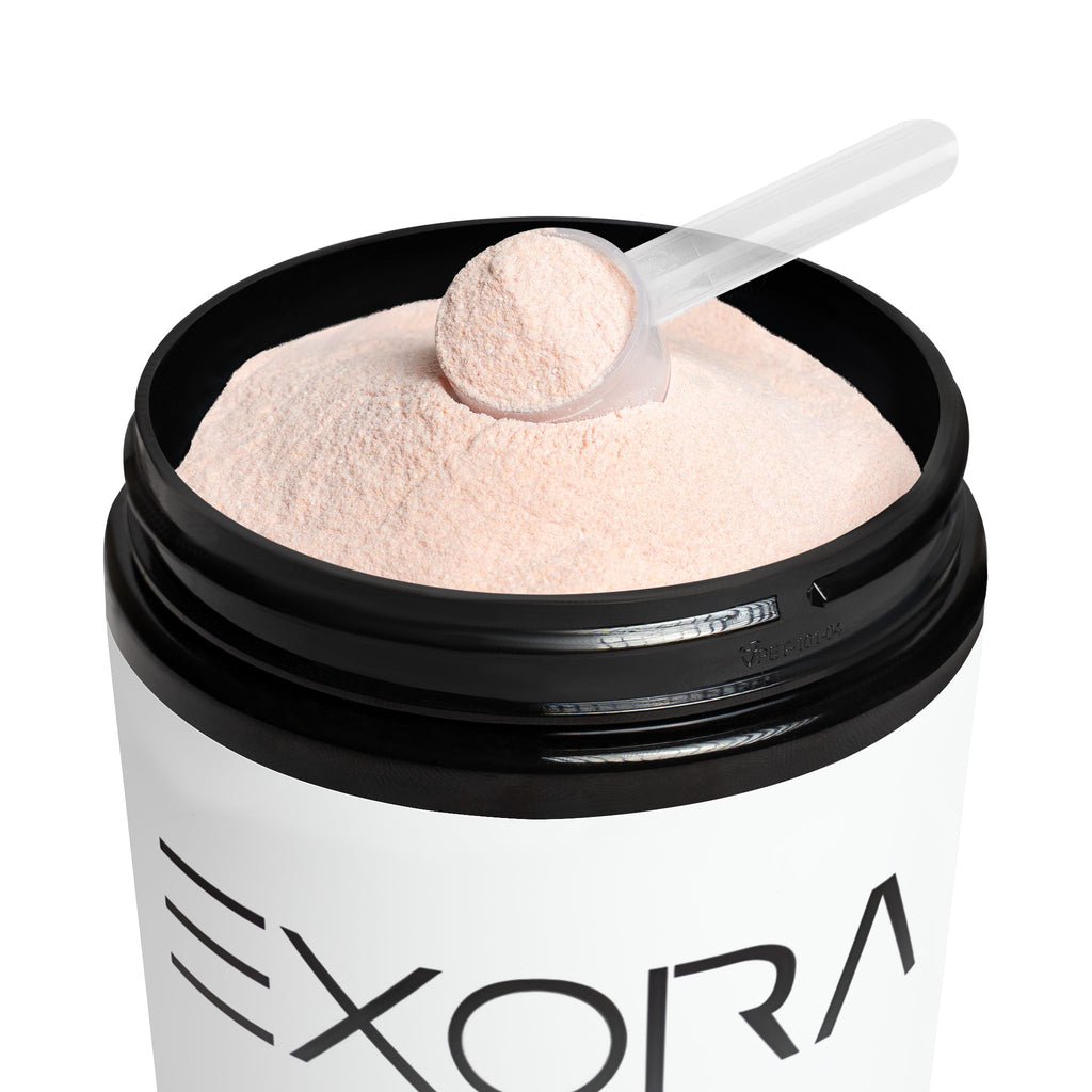 Container of 'EXORA' protein powder with a scoop on a white background