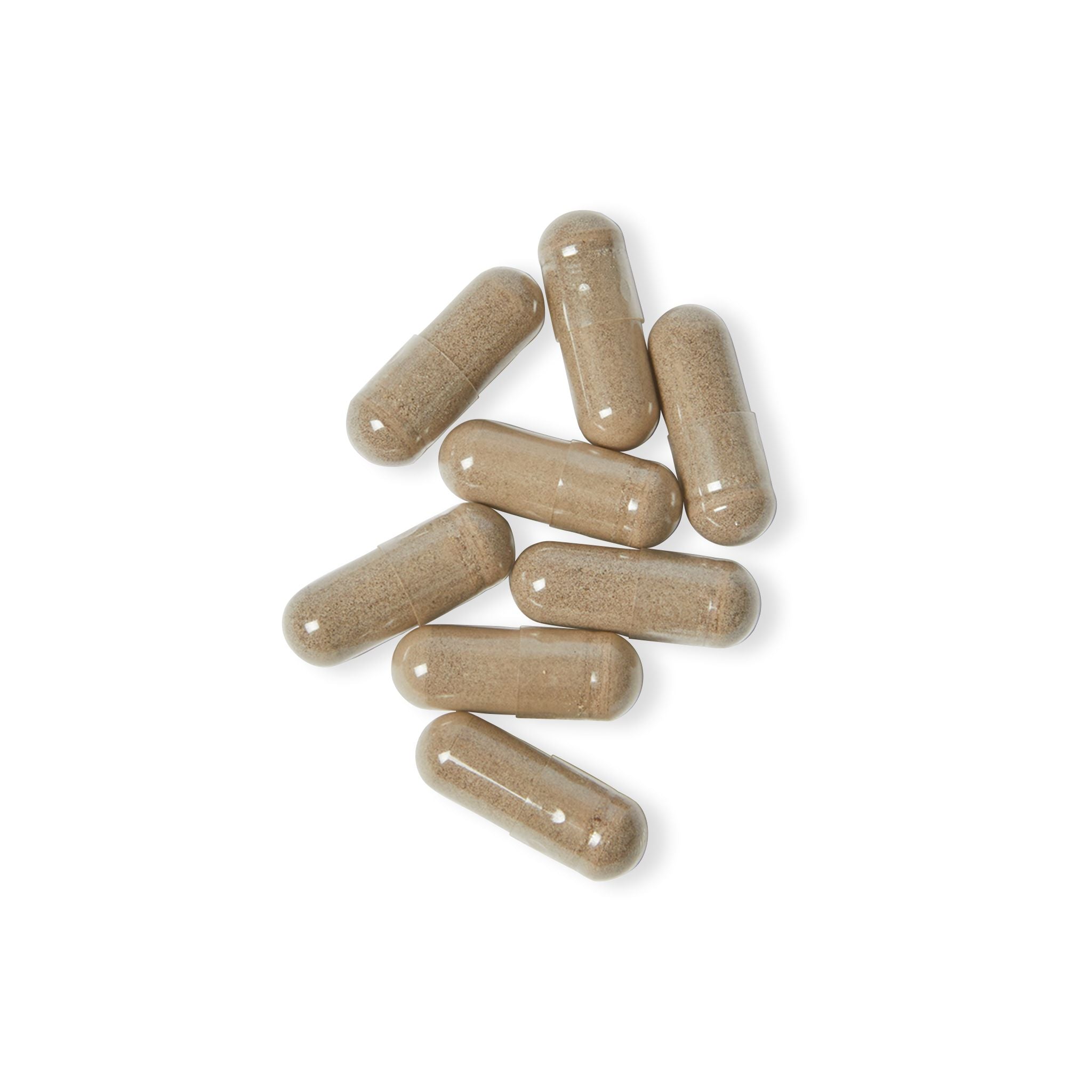 Brown capsules on a white background