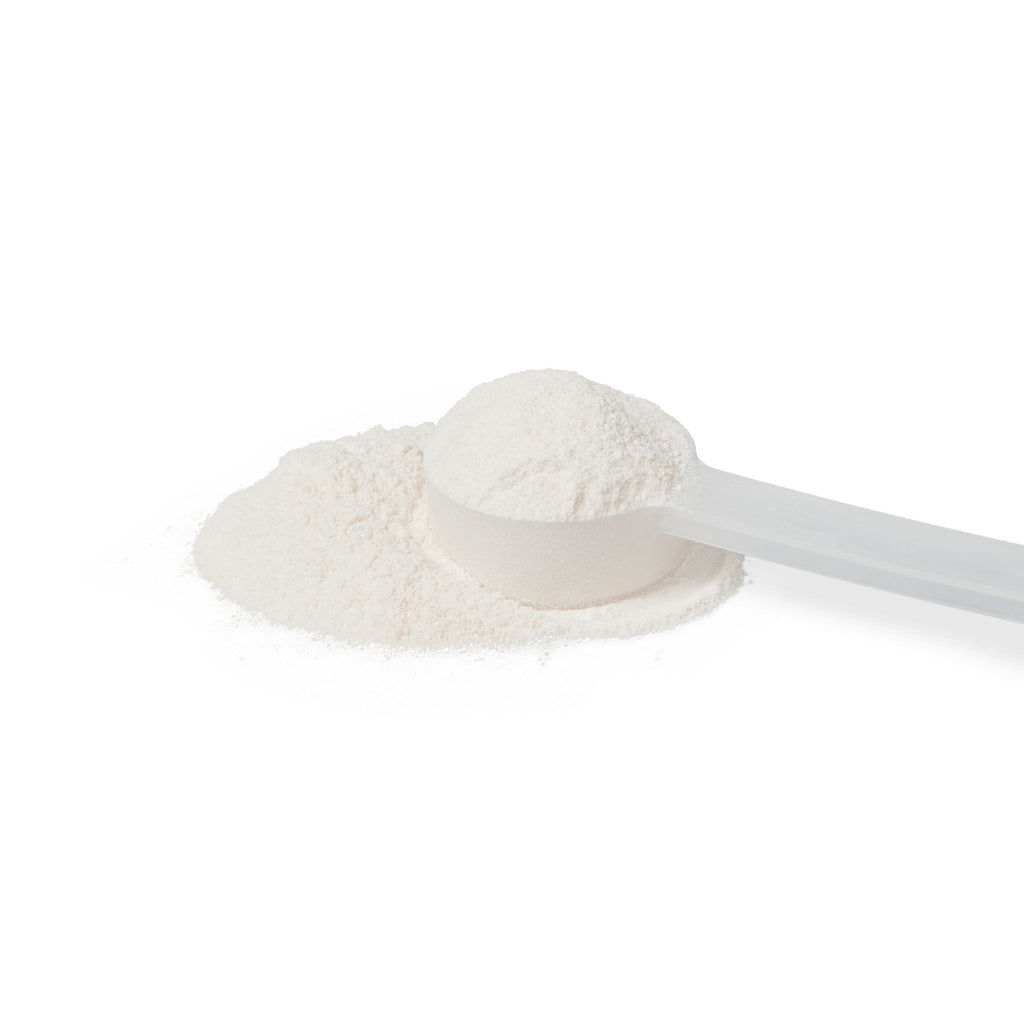 White scoop filled with white powder on a white background
