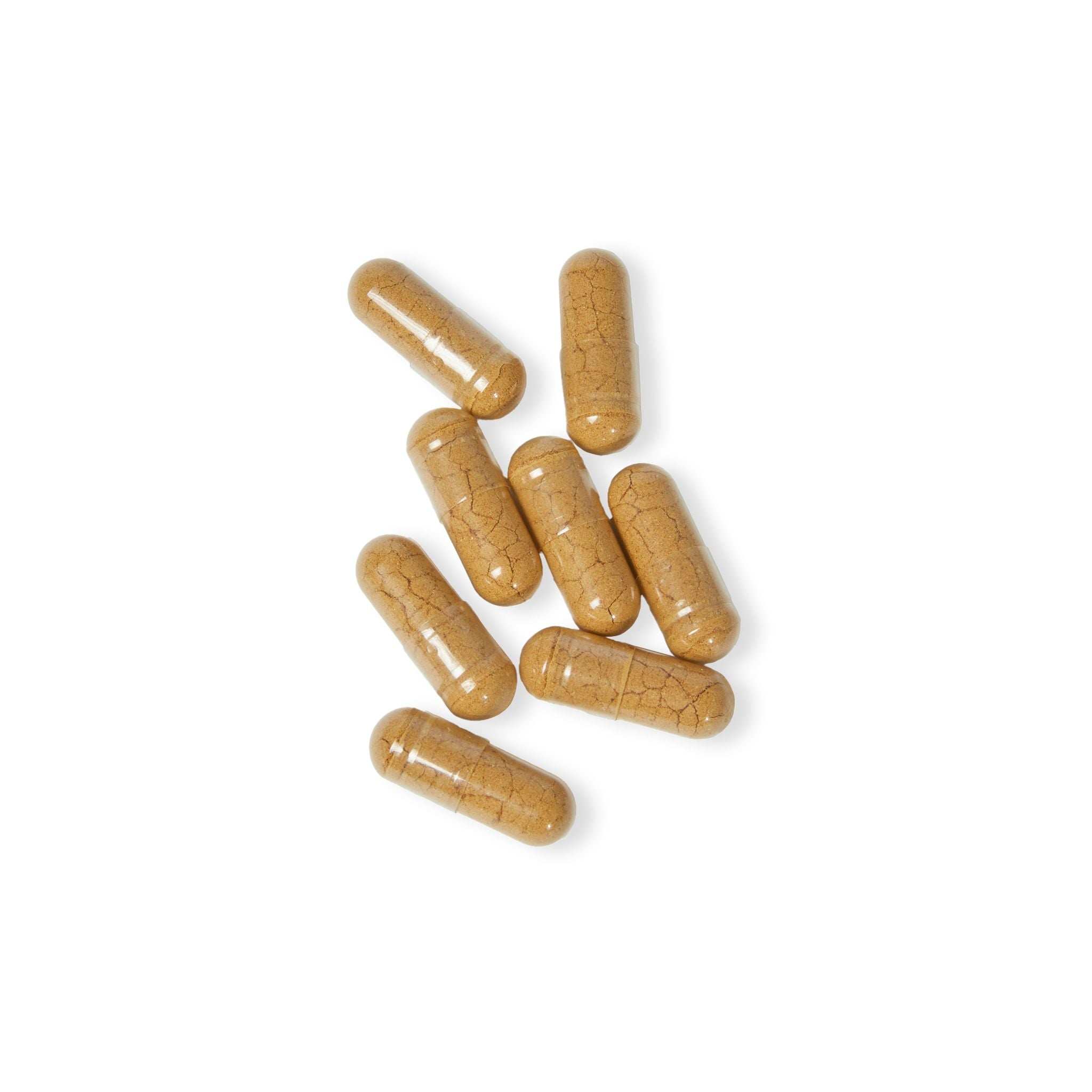 Brown capsules on a white background