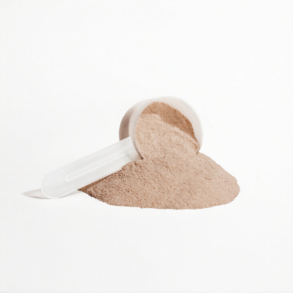 Plant Protein (Chocolate)