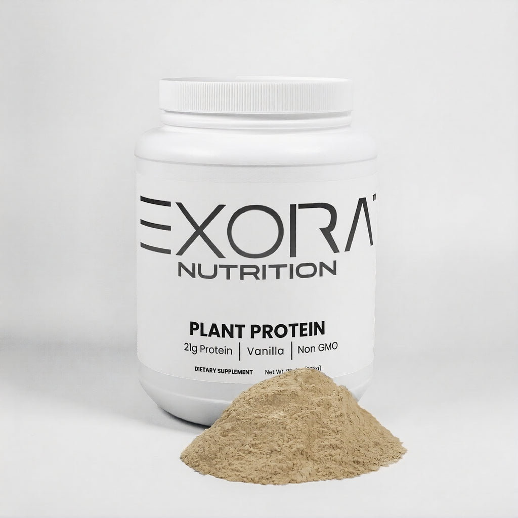Plant Protein (Vanilla)
