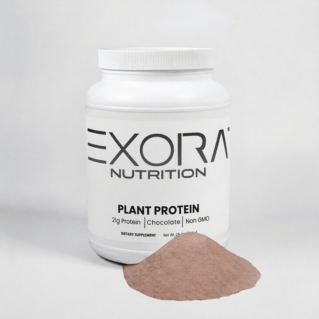 Plant Protein (Chocolate)